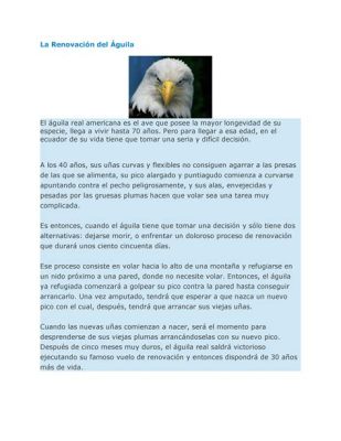 ¿El Hombre del Águila?: Explorando la Danza entre lo Real y lo Místico en una Obra Perdida de Frans Masemola?